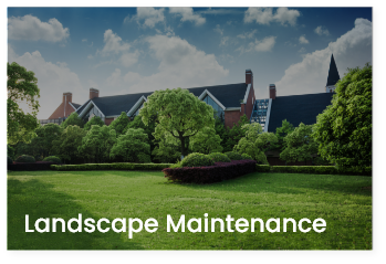 landscape-maintenance